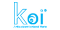 KOI Synergy Holdings Sdn. Bhd.