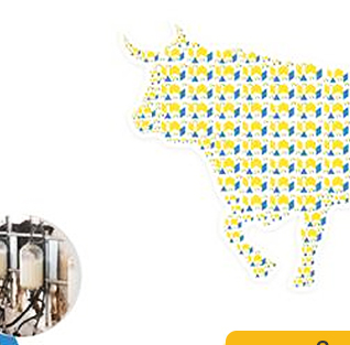 cow image